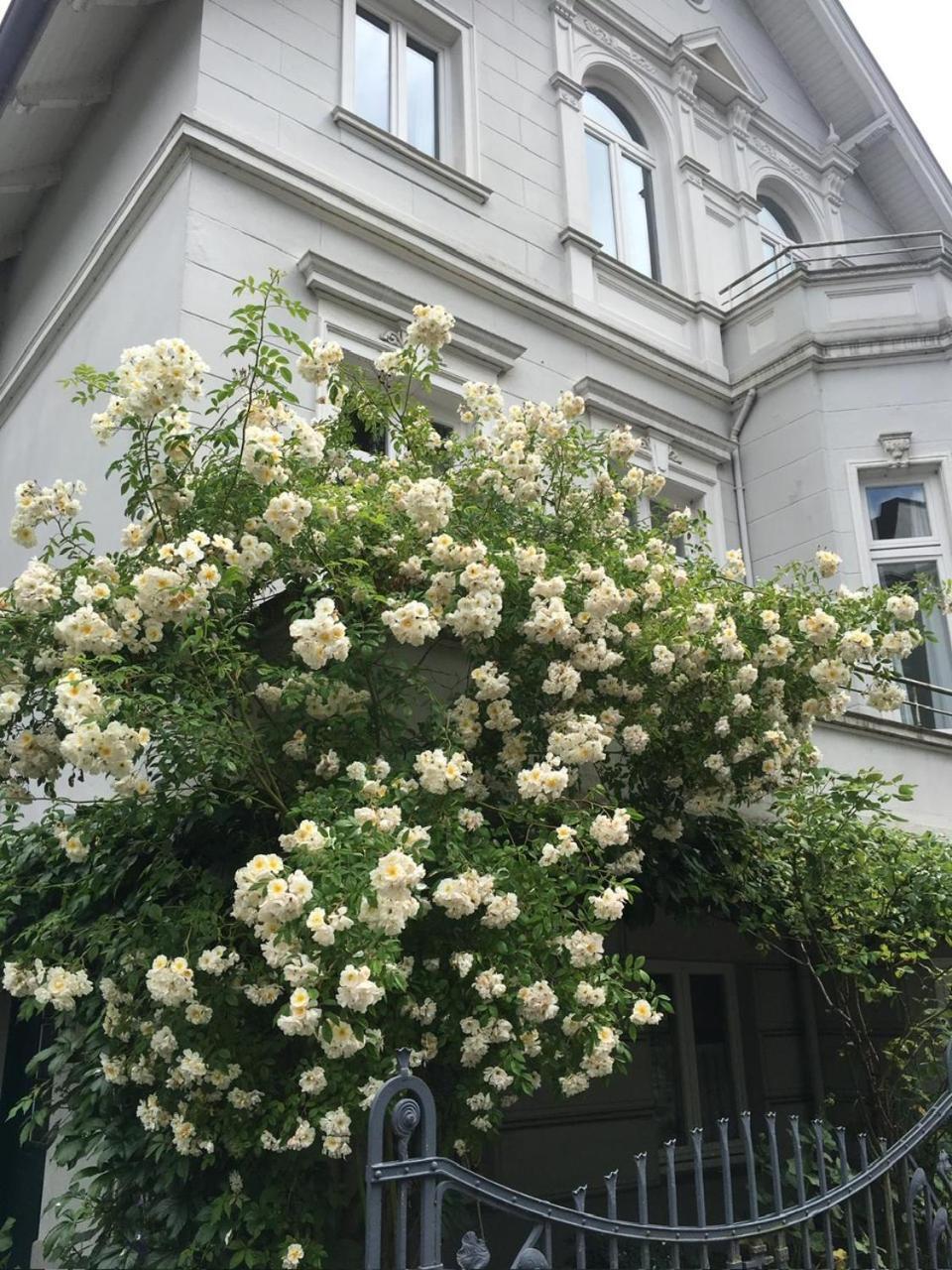 Ruhige Wohnung In Zentral Gelegener Gruenderzeitvilla Oldenburg Ngoại thất bức ảnh